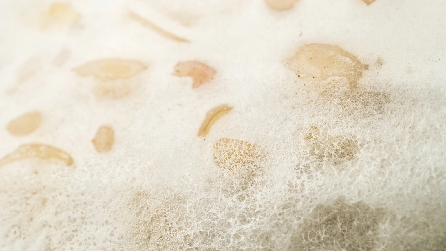 Macro photography of tempeh with white rhizopus. Tempeh is a traditional Indonesian food made from fermented soybeans and special yeast mold. Macro photography of tempeh with white rhizopus. Tempeh is a traditional Indonesian food made from fermented soybeans and special yeast mold.