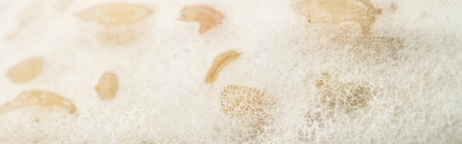 Macro photography of tempeh with white rhizopus. Tempeh is a traditional Indonesian food made from fermented soybeans and special yeast mold. Macro photography of tempeh with white rhizopus. Tempeh is a traditional Indonesian food made from fermented soybeans and special yeast mold.