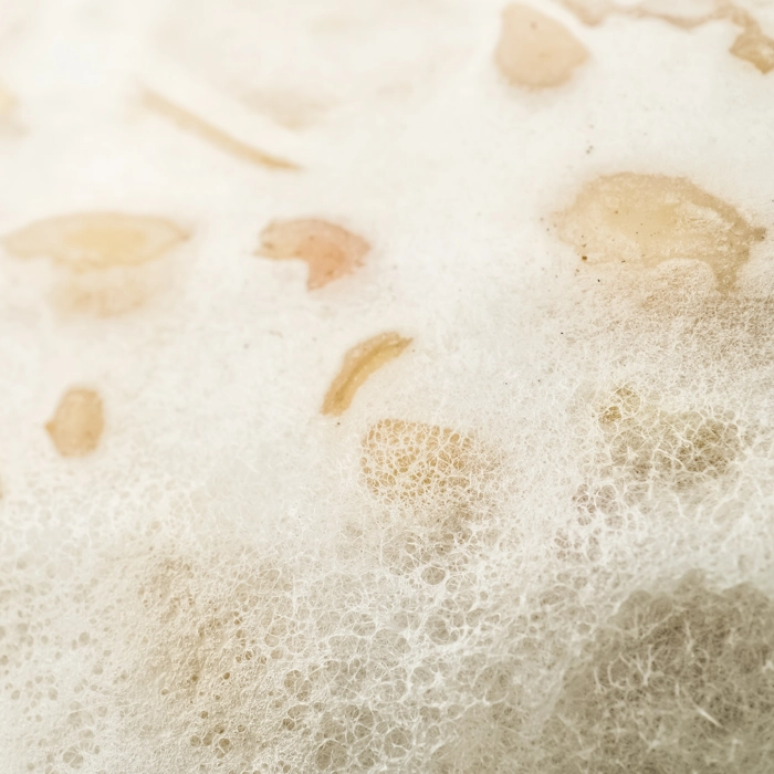 Macro photography of tempeh with white rhizopus. Tempeh is a traditional Indonesian food made from fermented soybeans and special yeast mold. Macro photography of tempeh with white rhizopus. Tempeh is a traditional Indonesian food made from fermented soybeans and special yeast mold.