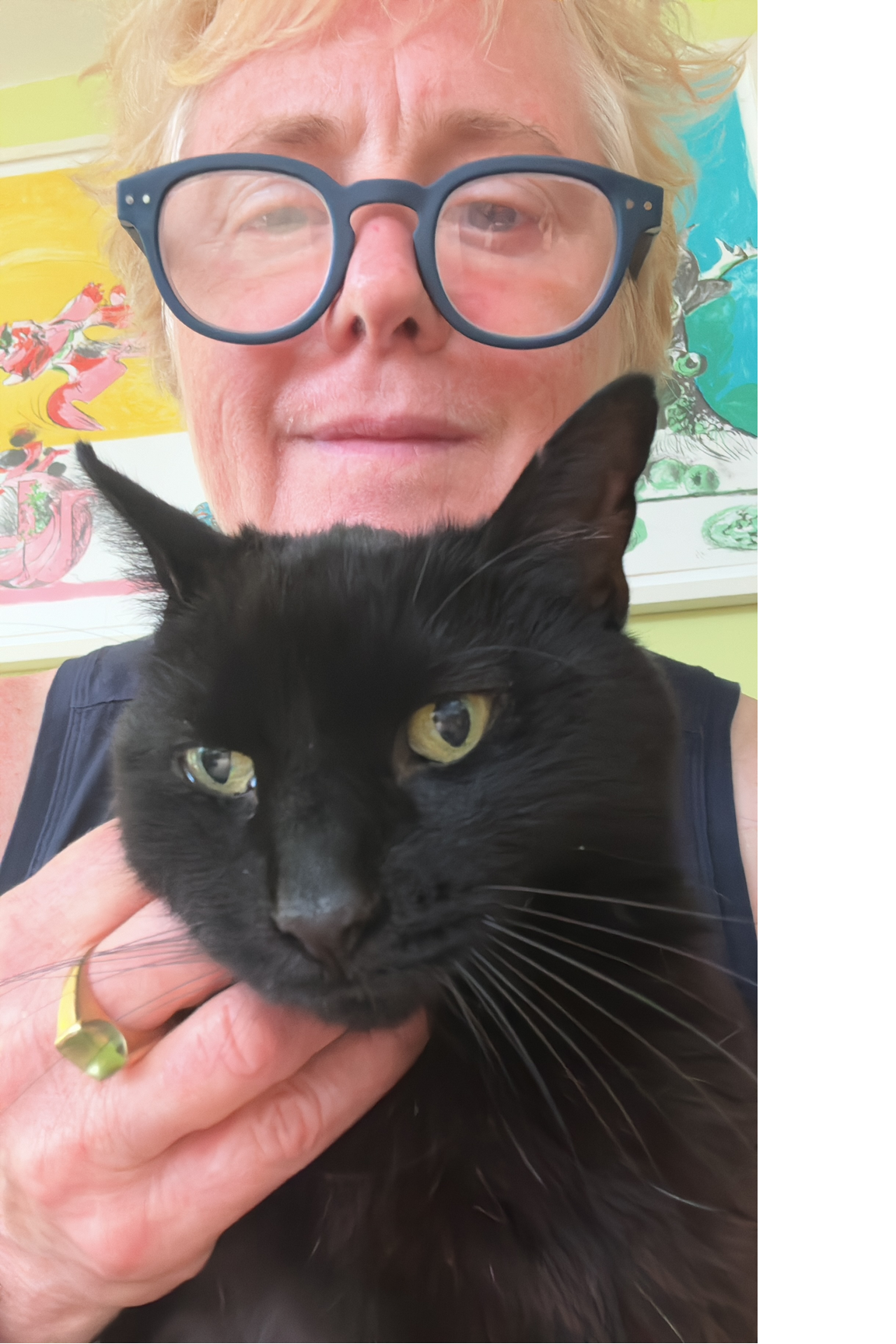 Tabby CIL Story Image