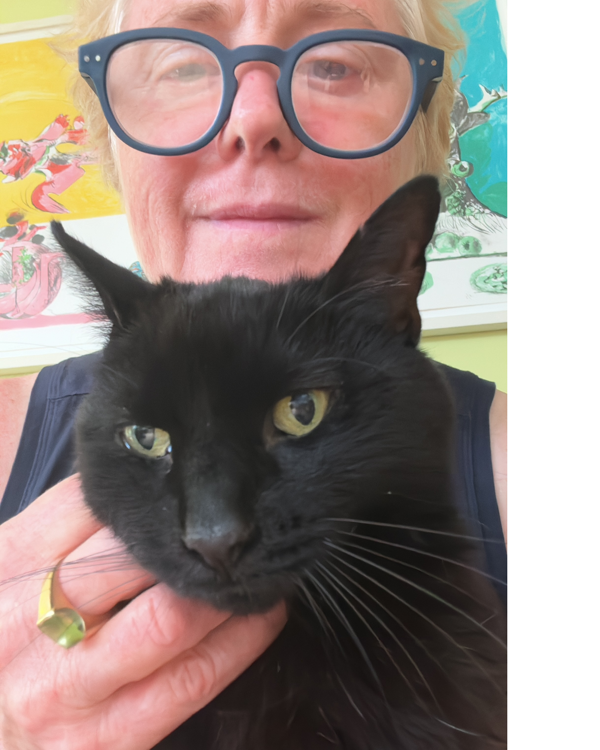 Tabby CIL Story Image Tabby CIL Story Image