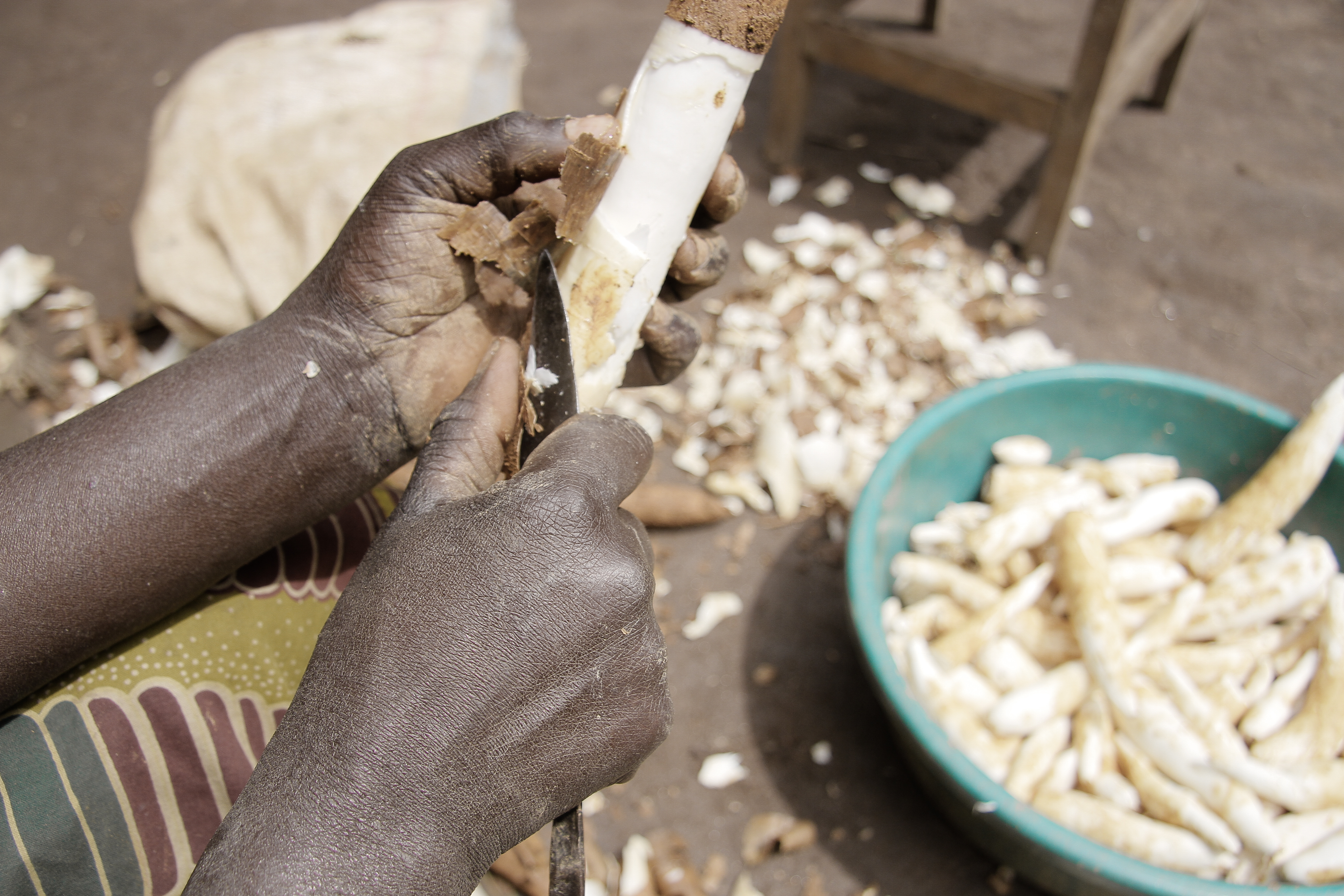 Adobestock 373299815