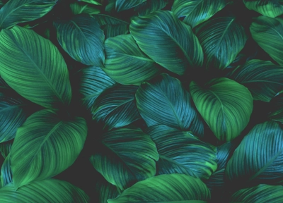 Adobestock 293172041 Adobestock 293172041