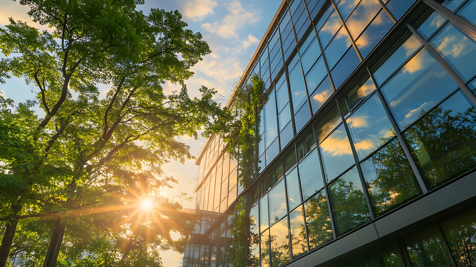 Sunlight shining through trees beside modern glass building with greenery Sunlight shining through trees beside modern glass building with greenery