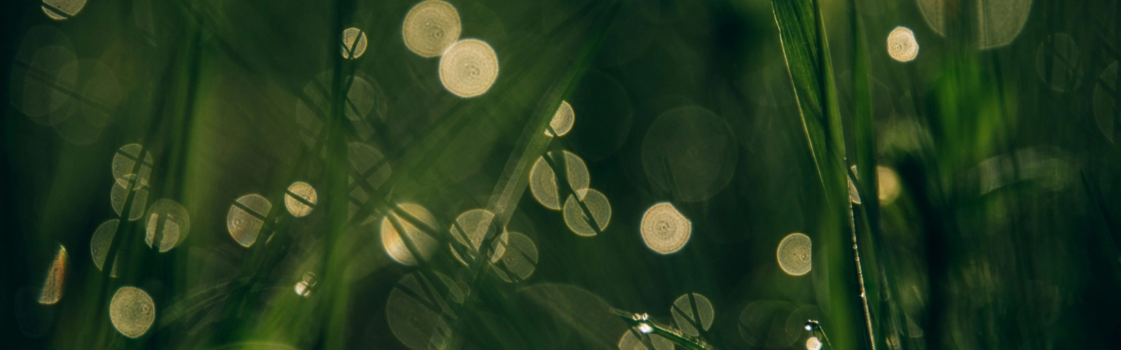 Amanda Frank O8o1vnxelbc Unsplash Amanda Frank O8o1vnxelbc Unsplash