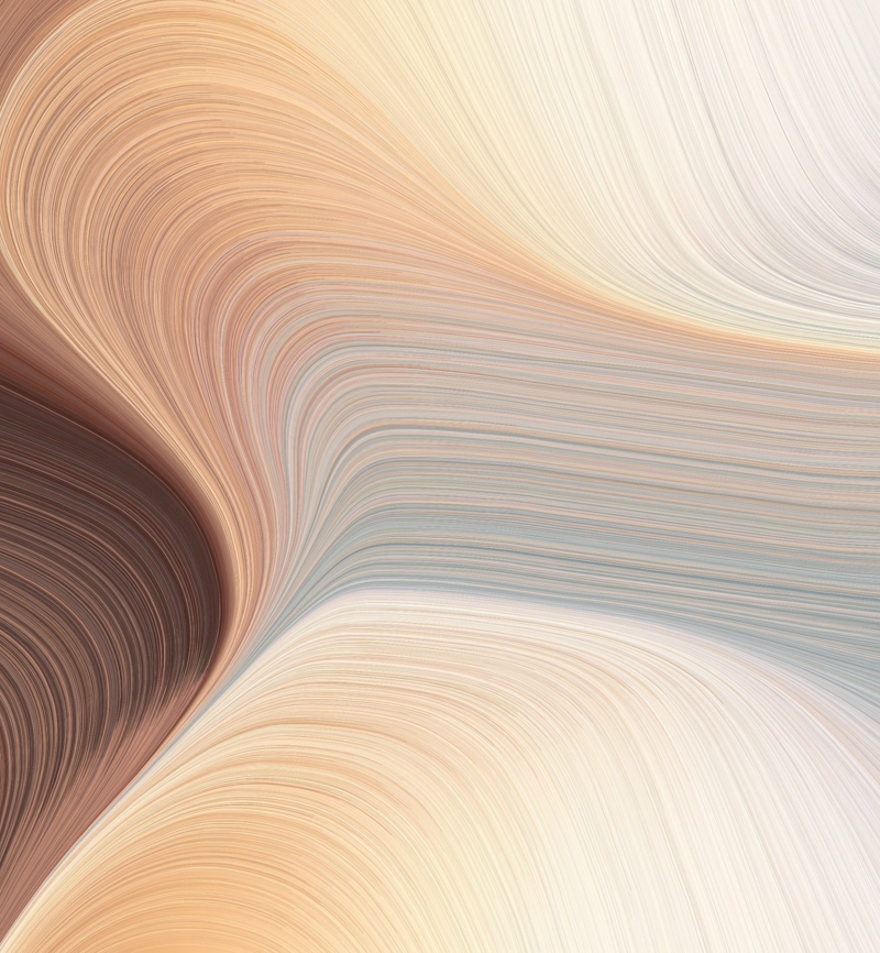 Adobestock 317873691 Adobestock 317873691