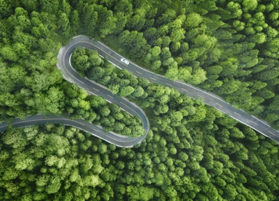 forest from above with a road going through forest from above with a road going through