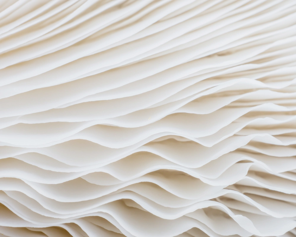 white abstract with texture white abstract with texture