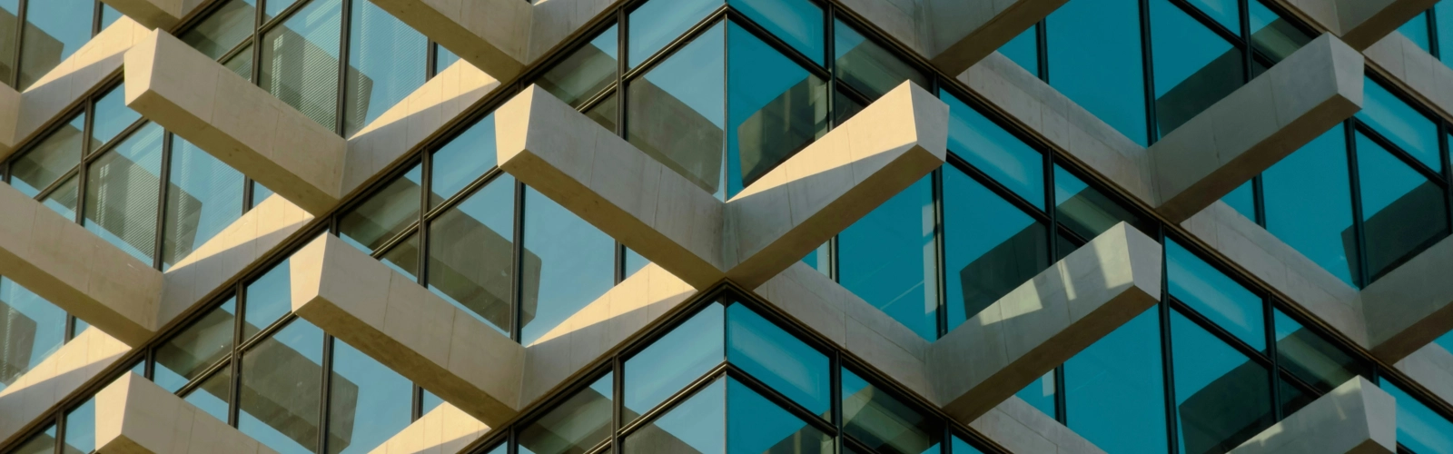 Building of value creation consultancy from outside Building of value creation consultancy from outside