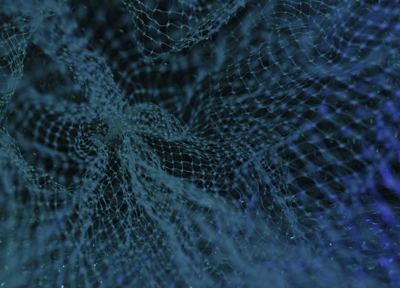 Uriel Sc 11Kdtiuwrq4 Unsplash Uriel Sc 11Kdtiuwrq4 Unsplash