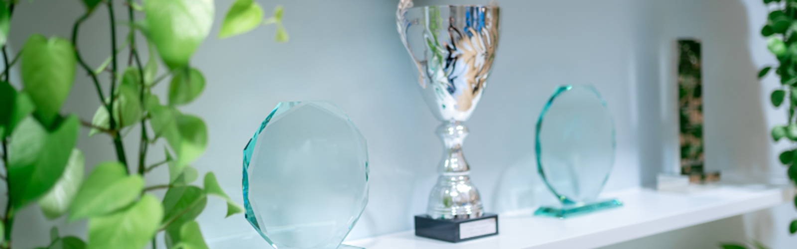 Trophy shelf CIL Trophy shelf CIL